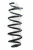 SPIDAN 87056 Coil Spring